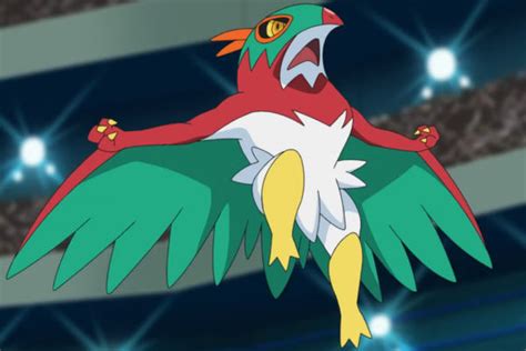 halcombate|Pokemon Fan Designs New Evolution for Hawlucha.